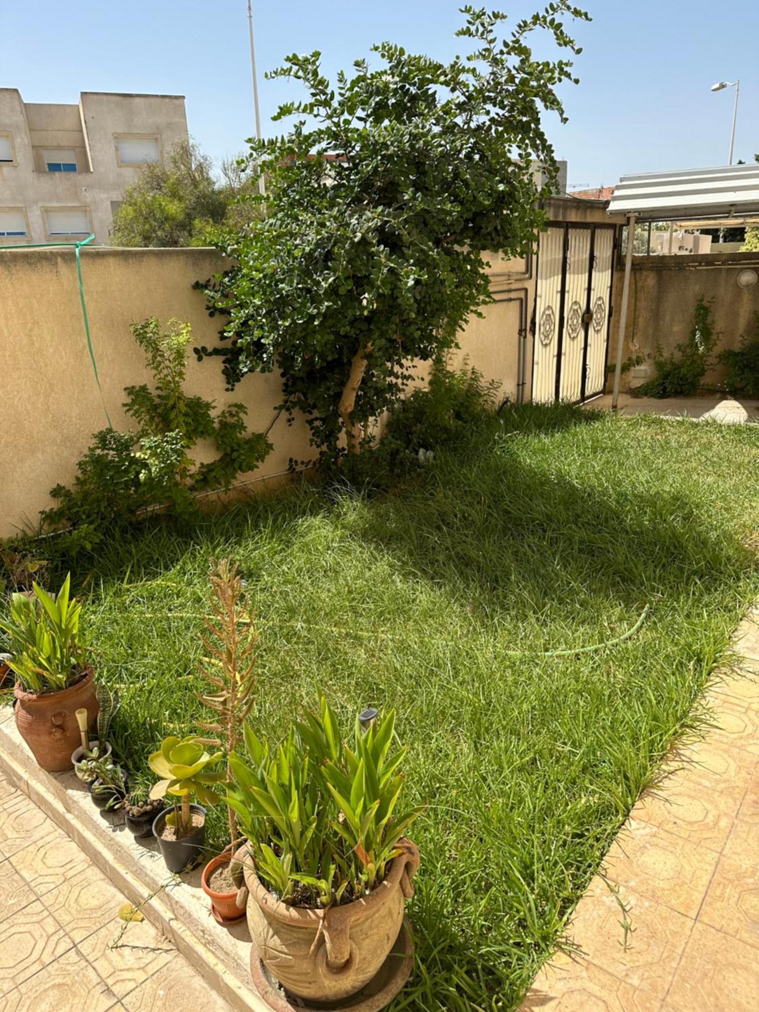 Appartamento Garden House Jardin De Carthage Sidi Daoud Esterno foto
